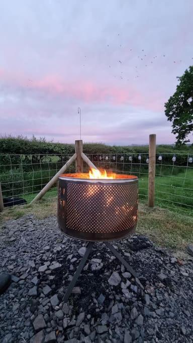 Bronfelen Yurt Hotel Cynghordy Bagian luar foto