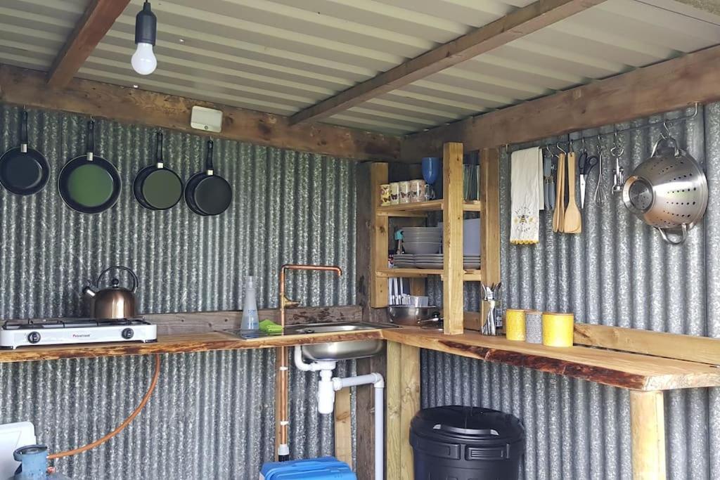 Bronfelen Yurt Hotel Cynghordy Bagian luar foto