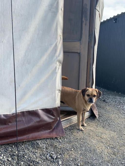 Bronfelen Yurt Hotel Cynghordy Bagian luar foto
